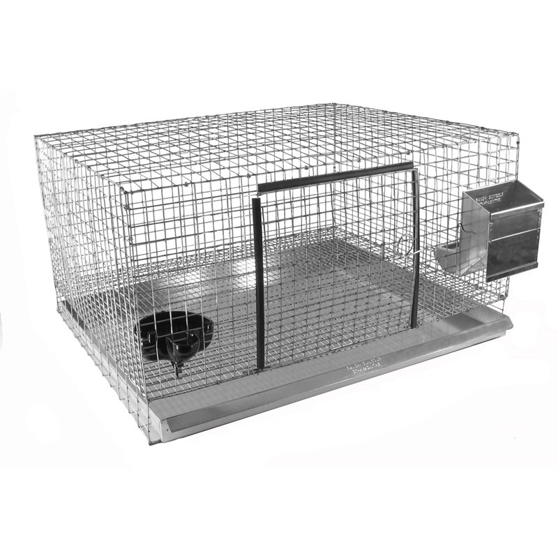 Cages standards pour lapins