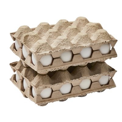 12 eggs packing tray