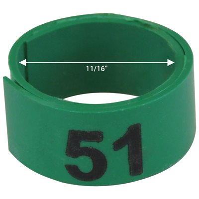 Bague verte numérotée de 11 / 16" (Numéro 51 à 75)