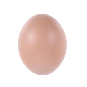 Brown fake plastic egg