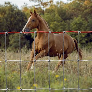 60" Fence For Horses (#1660-2-12 ½)