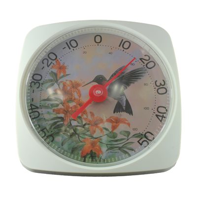 Thermomètre (colibri)