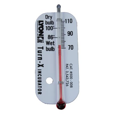 Common Thermometer