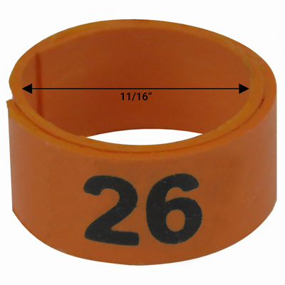 Bague orange numérotée de 11 / 16" (Numéro 26 à 50)