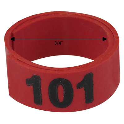 Bague rouge numérotée de 3 / 4" (Numéro 101 à 125)