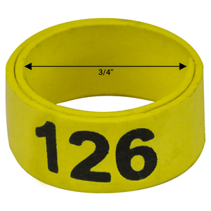 Bague jaune numérotée de 3 / 4" (Numéro 126 à 150)
