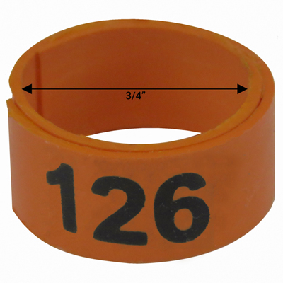 Bague orange numérotée de 3 / 4" (Numéro 126 à 150)