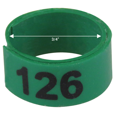 Bague verte numérotée de 3 / 4" (Numéro 126 à 150)