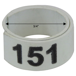 Bague blanche numérotée de 3 / 4" (Numéro 151 à 175)