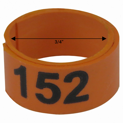 Bague orange numérotée de 3 / 4" (Numéro 151 à 175)