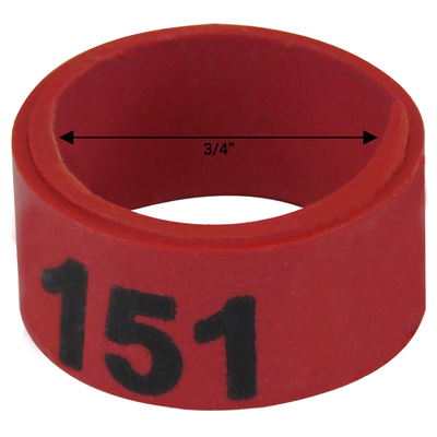 Bague rouge numérotée de 3 / 4" (Numéro 151 à 175)