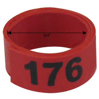 Bague rouge numérotée de 3 / 4" (Numéro 176 à 200)