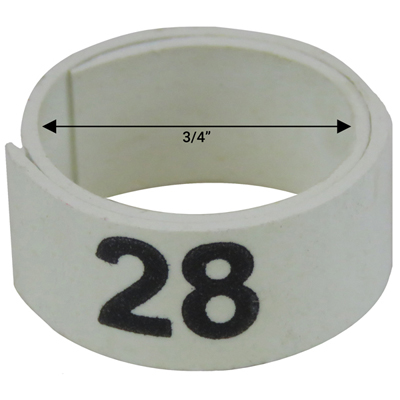3 / 4" White plastic bandette (Number 26 to 50)