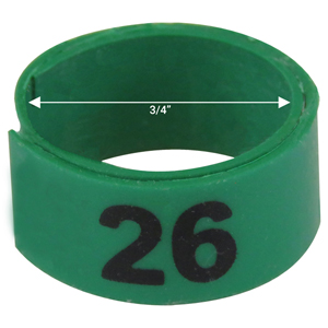 Bague verte numérotée de 3 / 4" (Numéro 26 à 50)