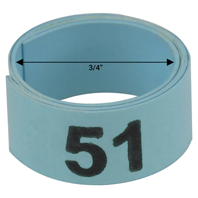 3 / 4" Blue plastic bandette (Number 51 to 75)