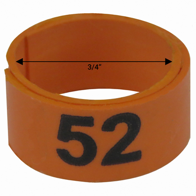 Bague orange numérotée de 3 / 4" (Numéro 51 à 75)