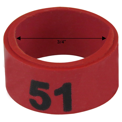 Bague rouge numérotée de 3 / 4" (Numéro 51 à 75)