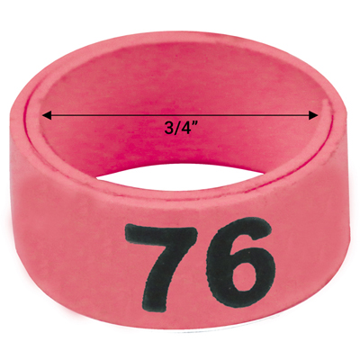 3 / 4" Pink plastic bandette (Number 76 to 100)