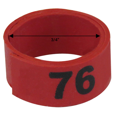 Bague rouge numérotée de 3 / 4" (Numéro 76 à 100)