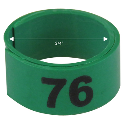 Bague verte numérotée de 3 / 4" (Numéro 76 à 100)