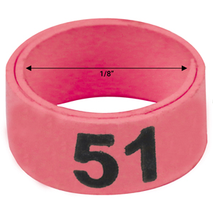 1 / 8" Pinkplastic plastic bandette (Number 51 to 75)