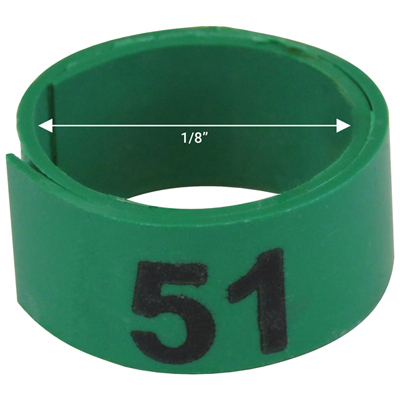 1 / 8" Green plastic bandette (Number 51 to 75)