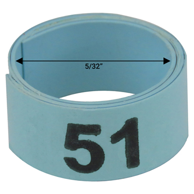 5 / 32" Blue plastic bandette (Number 51 to 75)