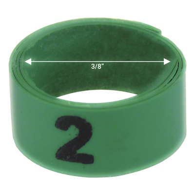 Bague verte numérotée de 3 / 8" (Numéro 1 à 25)