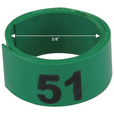 Bague verte numérotée de 3 / 8" (Numéro 51 à 75)